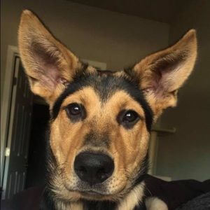 Meet your Posher, Adrianna